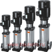 ������������ ���������������� ������������ �����, CDLF, CDL 85-20-2, 11 ���